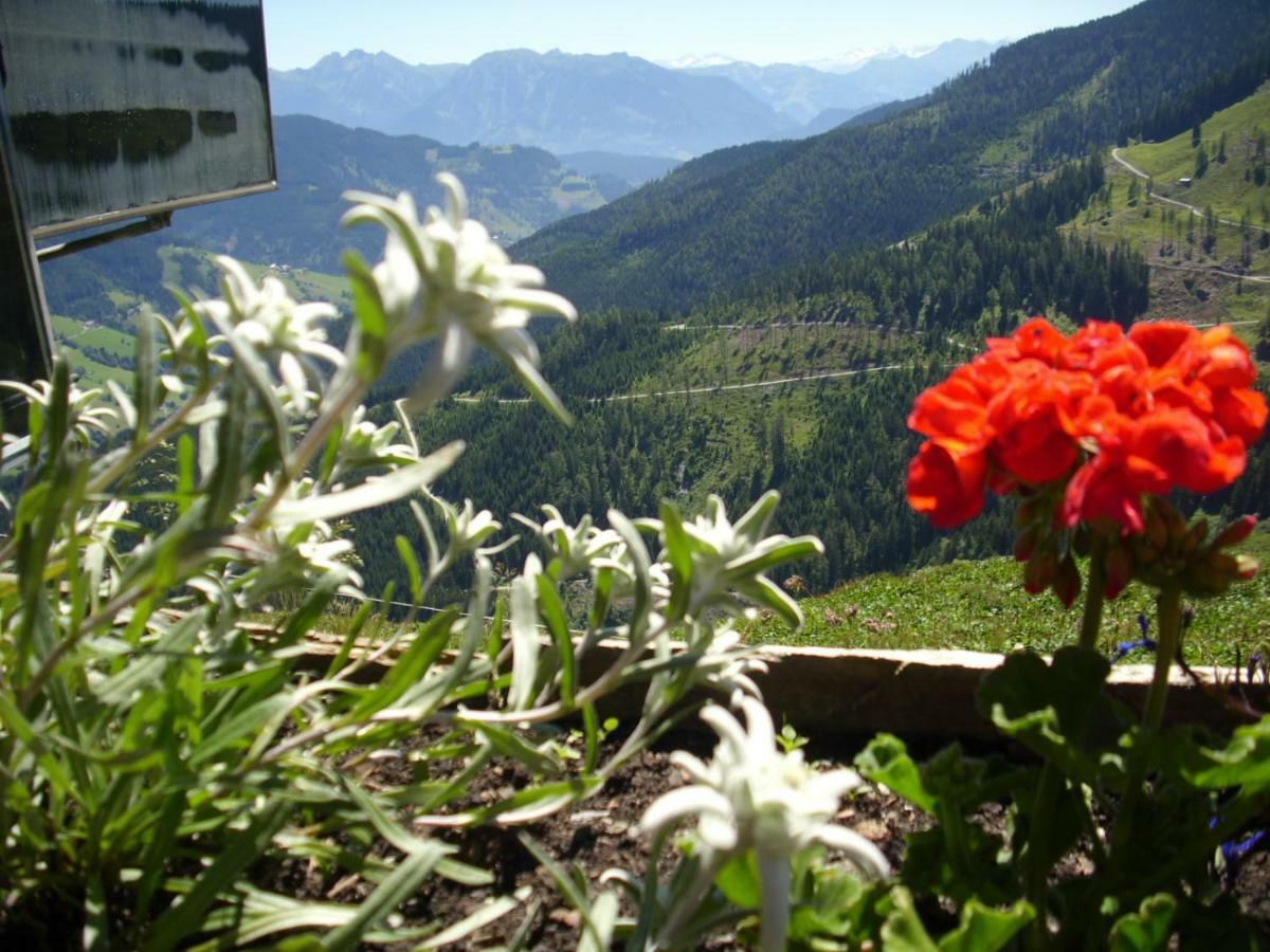 Chesa Montana Hotell Maria Alm am Steinernen Meer Exteriör bild